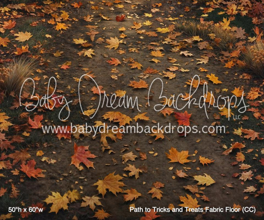 Path to Tricks and Treats Fabric Floor (CC)