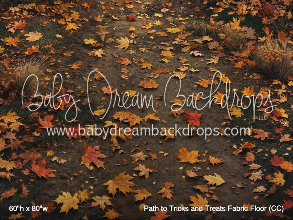 Path to Tricks and Treats Fabric Floor (CC)