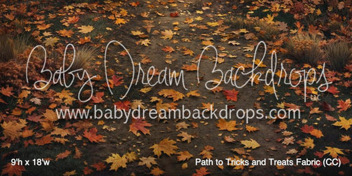 Path to Tricks and Treats Fabric Floor (CC)