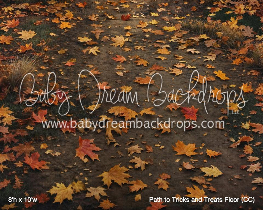 Path to Tricks and Treats Fabric Floor (CC)