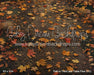 Path to Tricks and Treats Floor (CC)