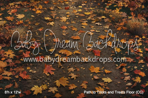 Path to Tricks and Treats Fabric Floor (CC)