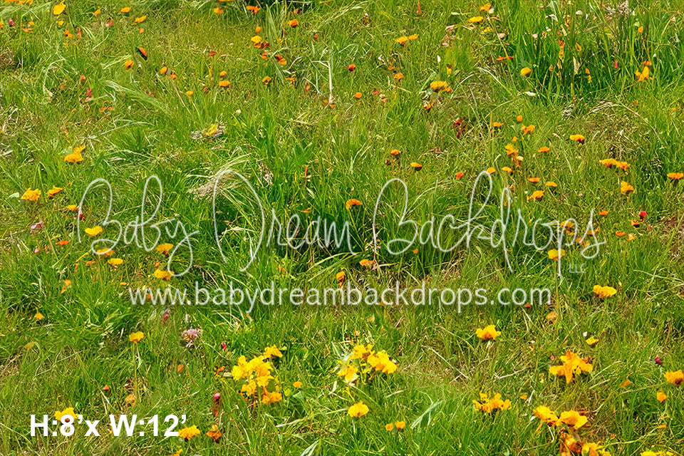 Peace Love Van Floor (SM)