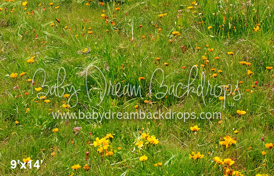 Peace Love Van Fabric Floor (SM)