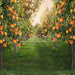 Peach Orchard (JA)