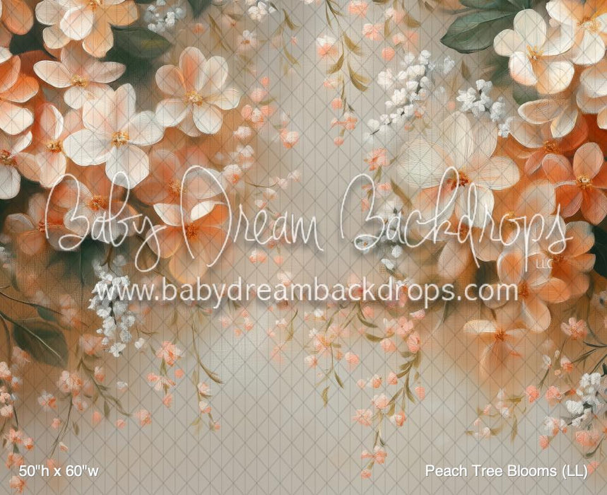 Peach Tree Blooms (LL)