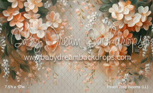 Peach Tree Blooms (LL)