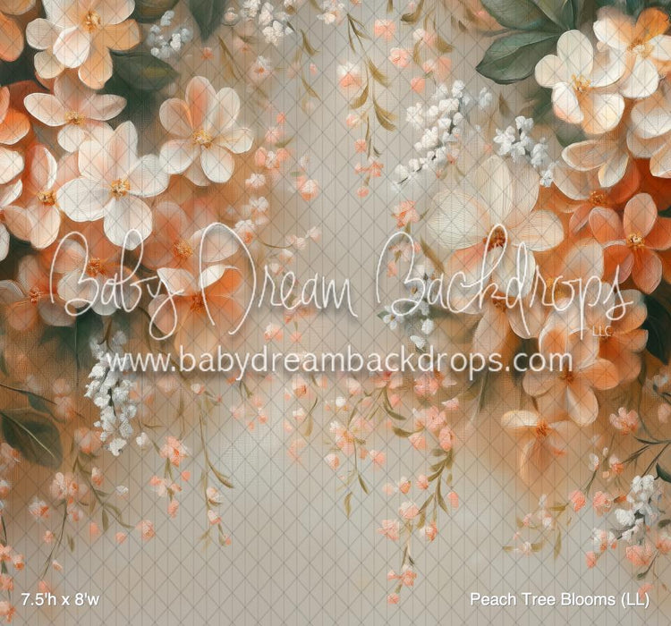 Peach Tree Blooms (LL)