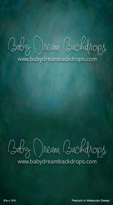 Peacock in Watercolor Sweep (WM)