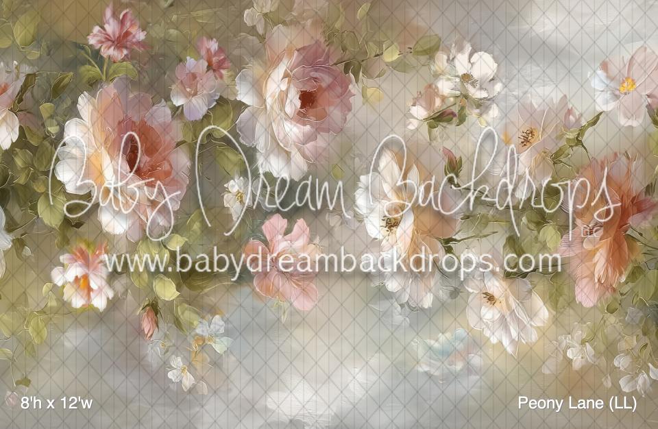 Peony Lane (LL)