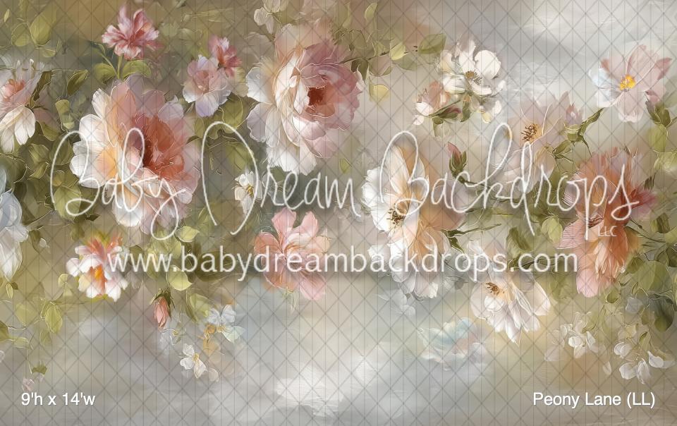 Peony Lane (LL)