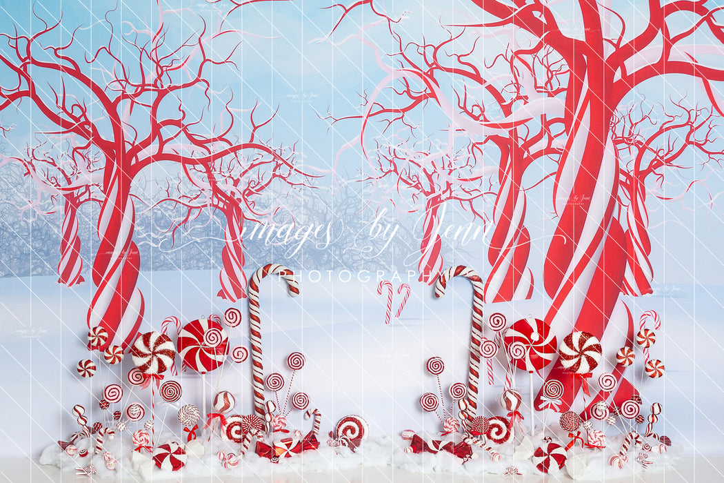 Peppermint Candy Forest (JG)