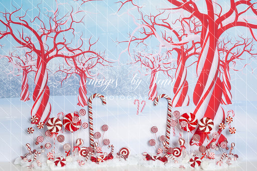 Peppermint Candy Forest (JG)