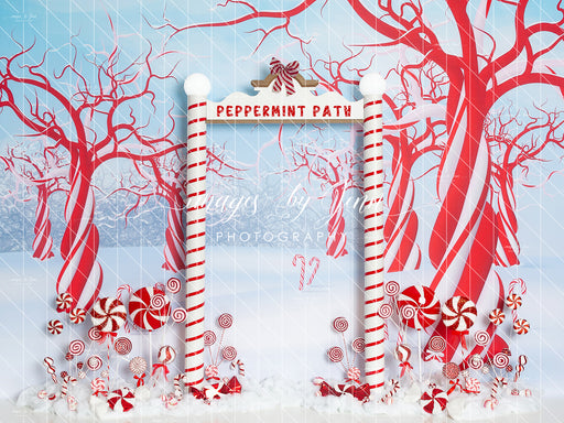 Peppermint Candy Forest Arch (JG)