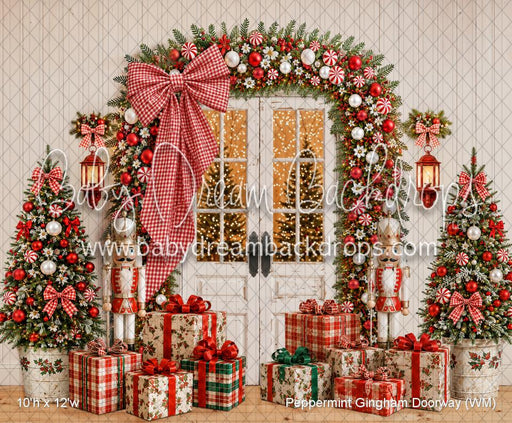 Peppermint Gingham Doorway (WM)