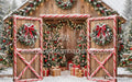 Peppermint Twist Barn (JA)