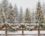 Peppermint Twist Fence (JA)