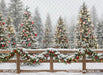 Peppermint Twist Fence (JA)