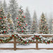 Peppermint Twist Fence (JA)