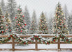 Peppermint Twist Fence (JA)