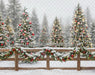Peppermint Twist Fence (JA)