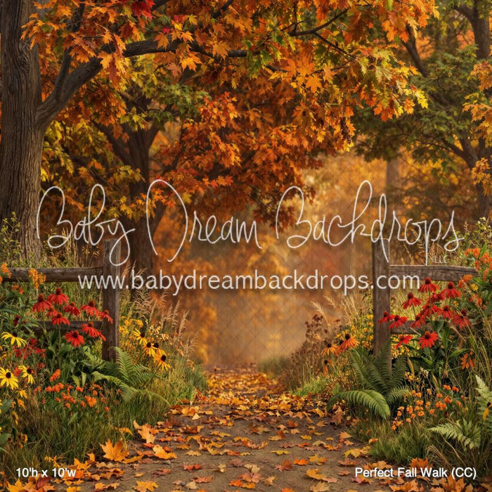 Perfect Fall Walk (CC)