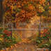 Perfect Fall Walk (CC)