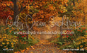 Perfect Fall Walk (CC)