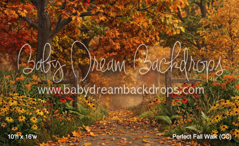 Perfect Fall Walk (CC)