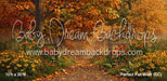 Perfect Fall Walk (CC)