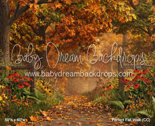 Perfect Fall Walk (CC)