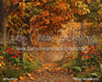 Perfect Fall Walk (CC)