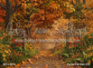 Perfect Fall Walk (CC)