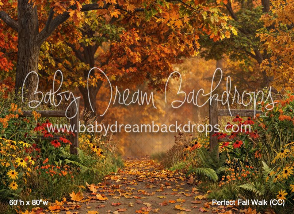 Perfect Fall Walk (CC)