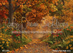 Perfect Fall Walk (CC)