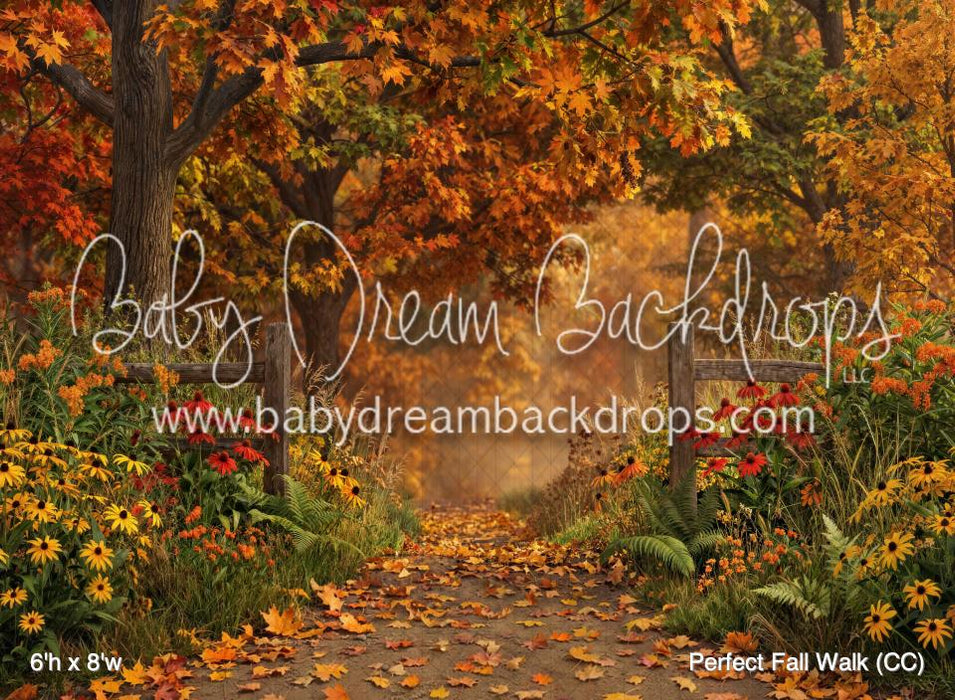 Perfect Fall Walk (CC)