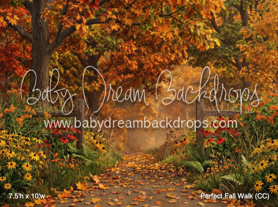 Perfect Fall Walk (CC)