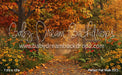 Perfect Fall Walk (CC)
