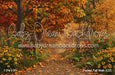 Perfect Fall Walk (CC)