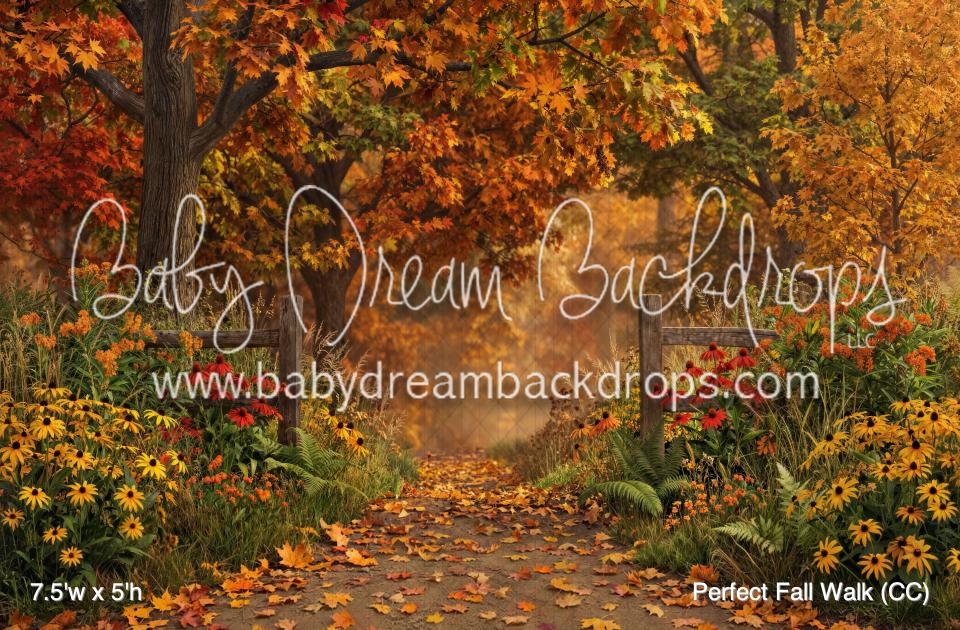 Perfect Fall Walk (CC)