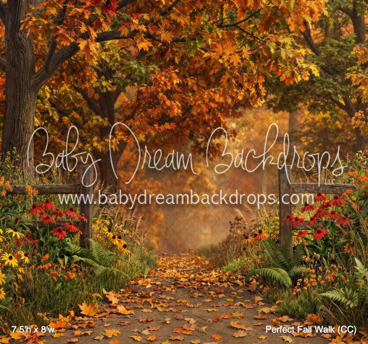 Perfect Fall Walk (CC)