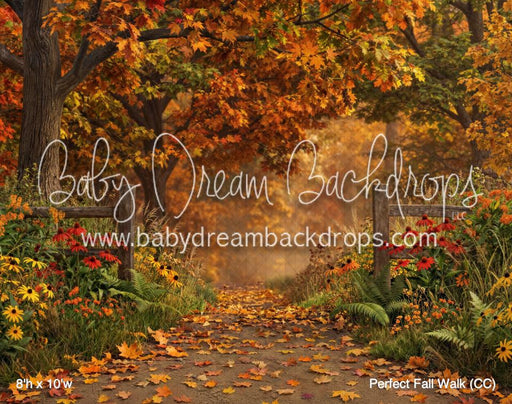 Perfect Fall Walk (CC)