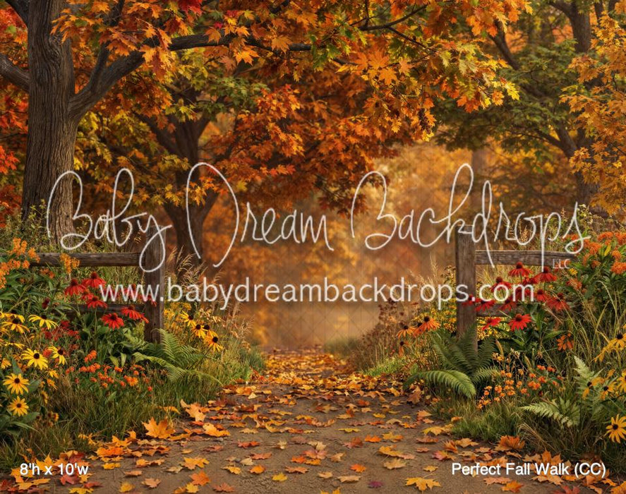 Perfect Fall Walk (CC)