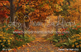 Perfect Fall Walk (CC)