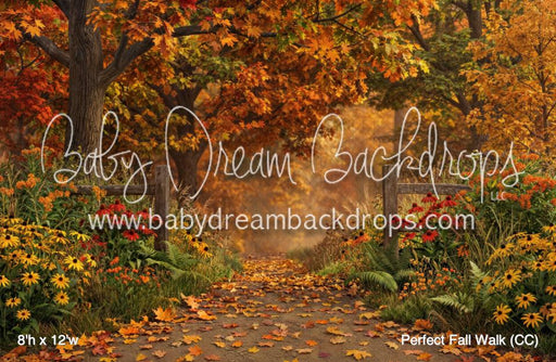 Perfect Fall Walk (CC)