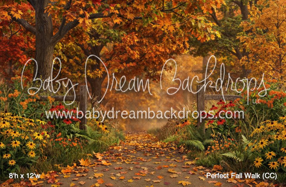 Perfect Fall Walk (CC)