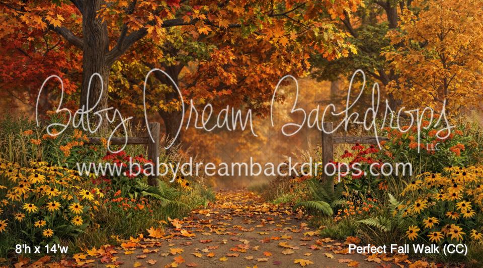 Perfect Fall Walk (CC)