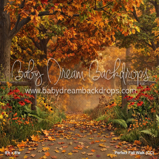 Perfect Fall Walk (CC)
