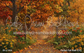 Perfect Fall Walk (CC)
