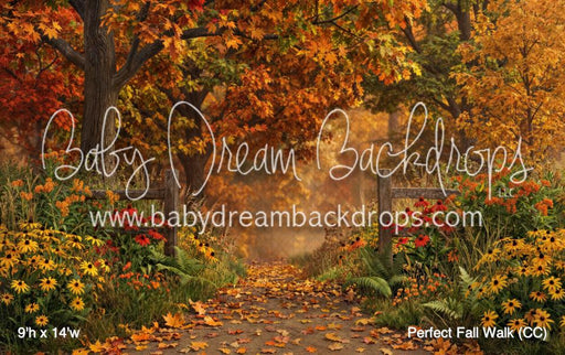 Perfect Fall Walk (CC)
